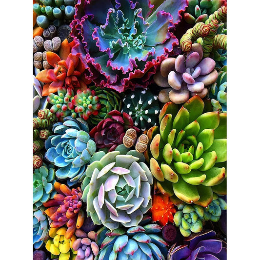 Succulents | Diamond Painting