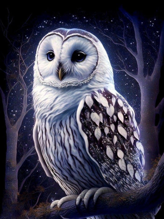 Barn Owl | Diamond Painting