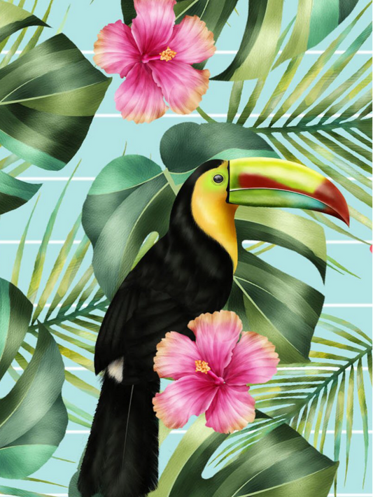 Toucan Bird | Diamond Painting