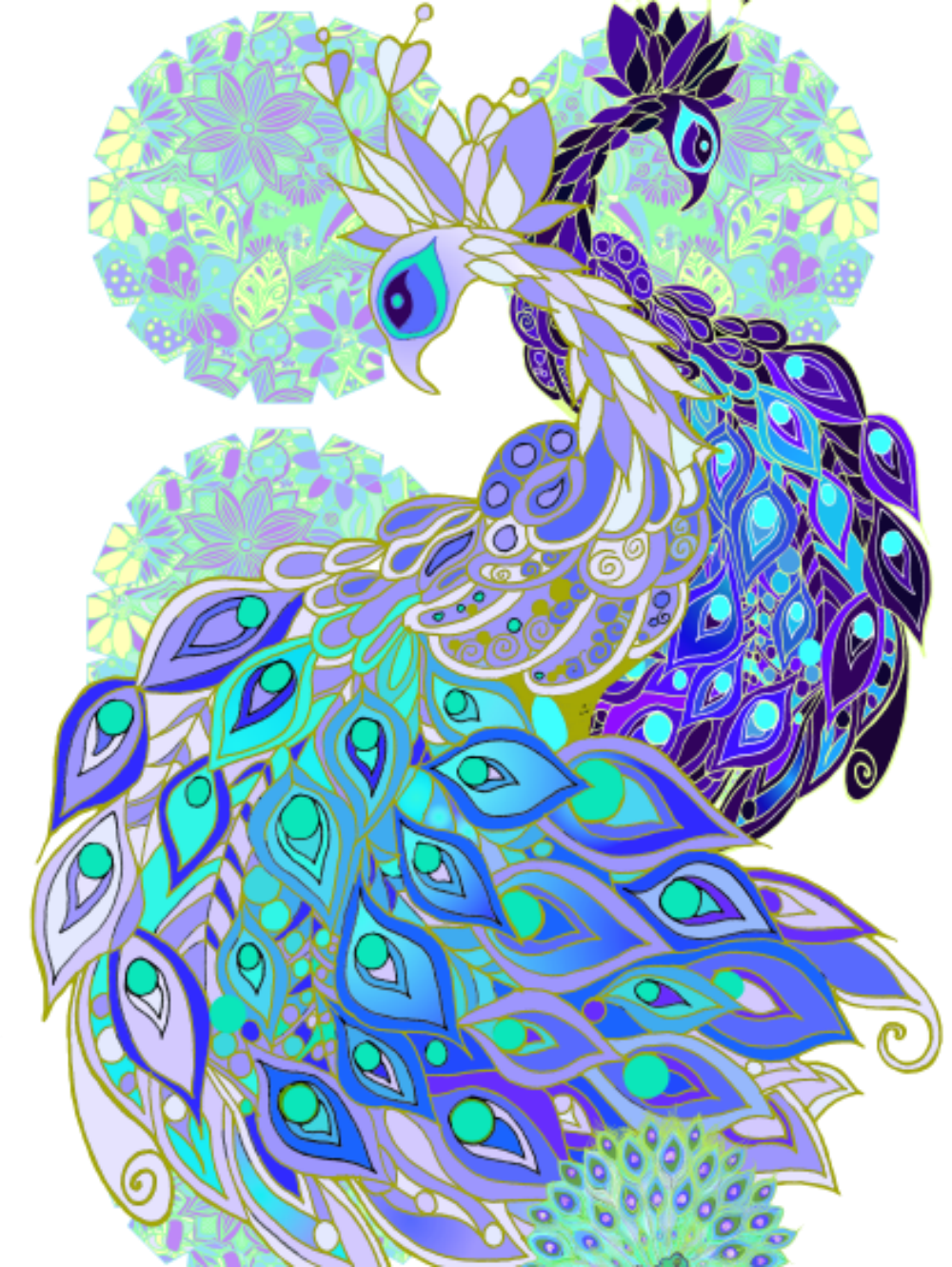 Peacock | Diamond Painting