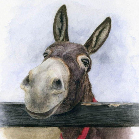 Donkey | Diamond Painting