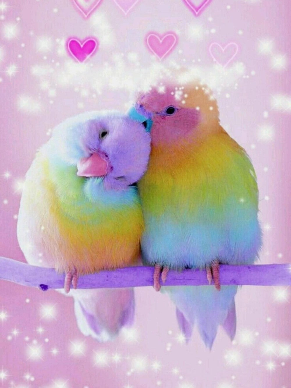 Love Birds | Diamond Painting