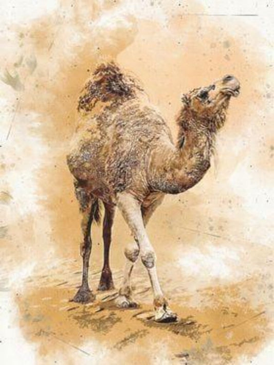 Camel | Diamond Painting