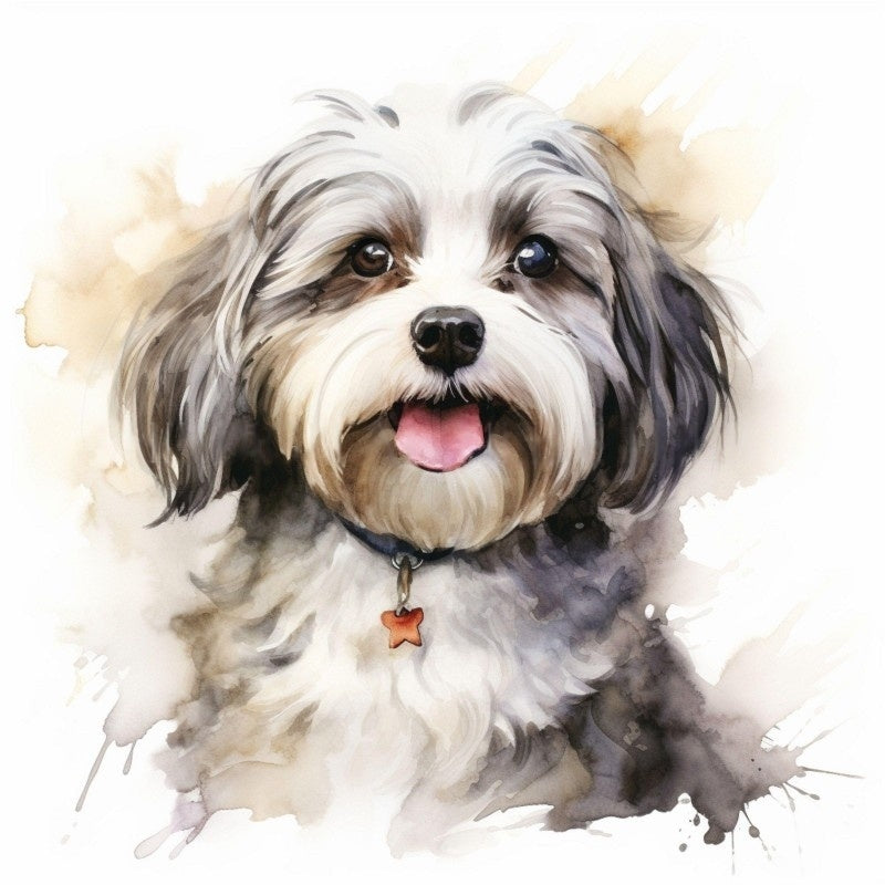 Havanese Dog | Diamond Painting