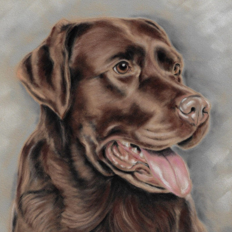 Chocolate Labrador Dog | Diamond Painting