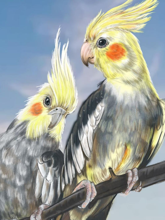 Cockatiel Parrot | Diamond Painting