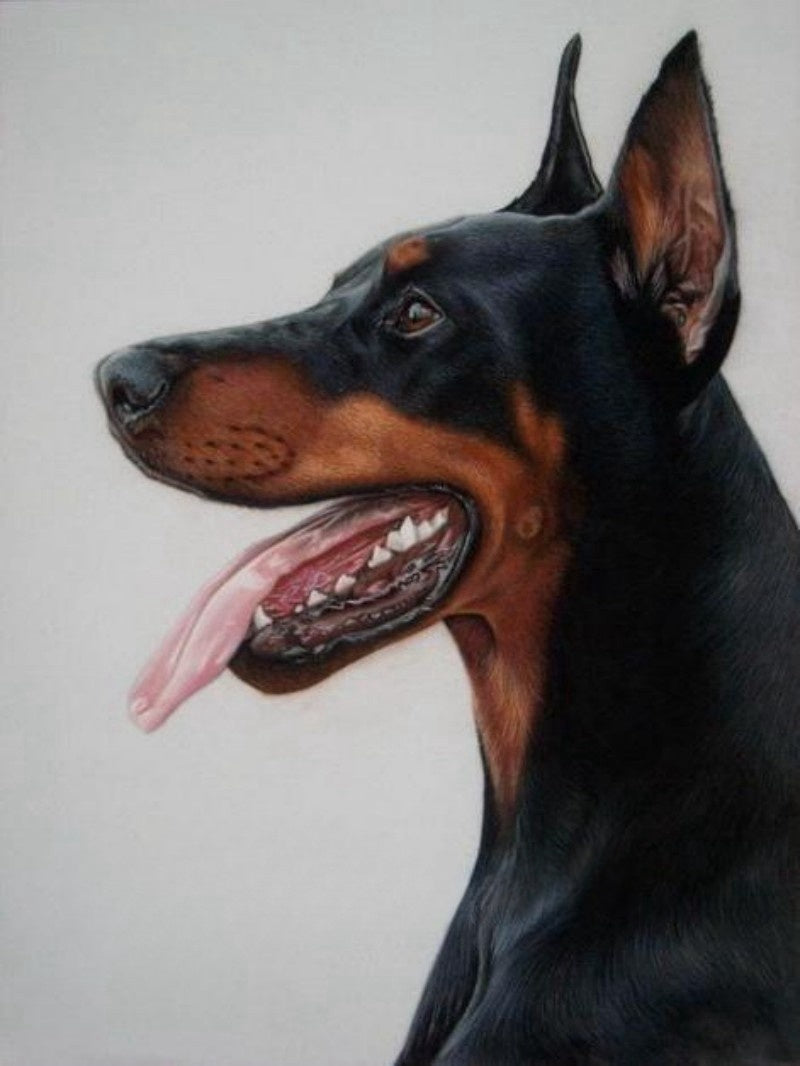 Dog Doberman | Diamond Painting