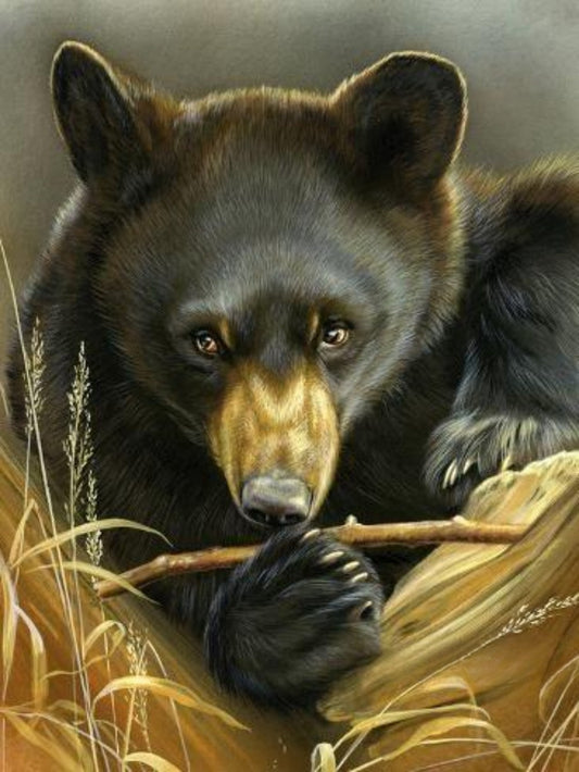 Black Bear | Diamond Painting