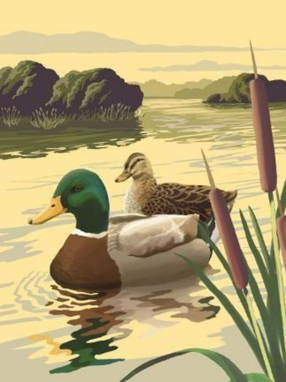 Duck | Diamond Painting