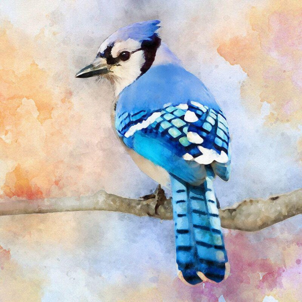 Blue Jay | Diamond Painting