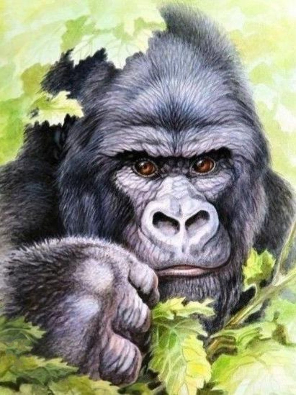 Gorilla | Diamond Painting