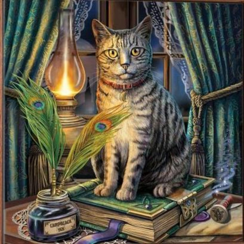 Cat Bookshelf | Diamond Painting