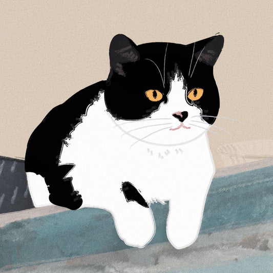 Tuxedo Cat  | Diamond Painting