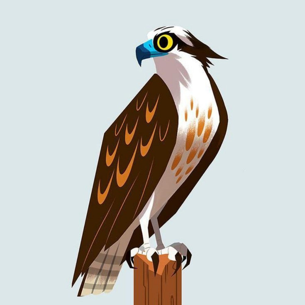 Falcon | Diamond Painting