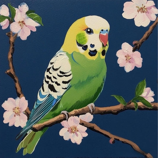 Budgie | Diamond Painting