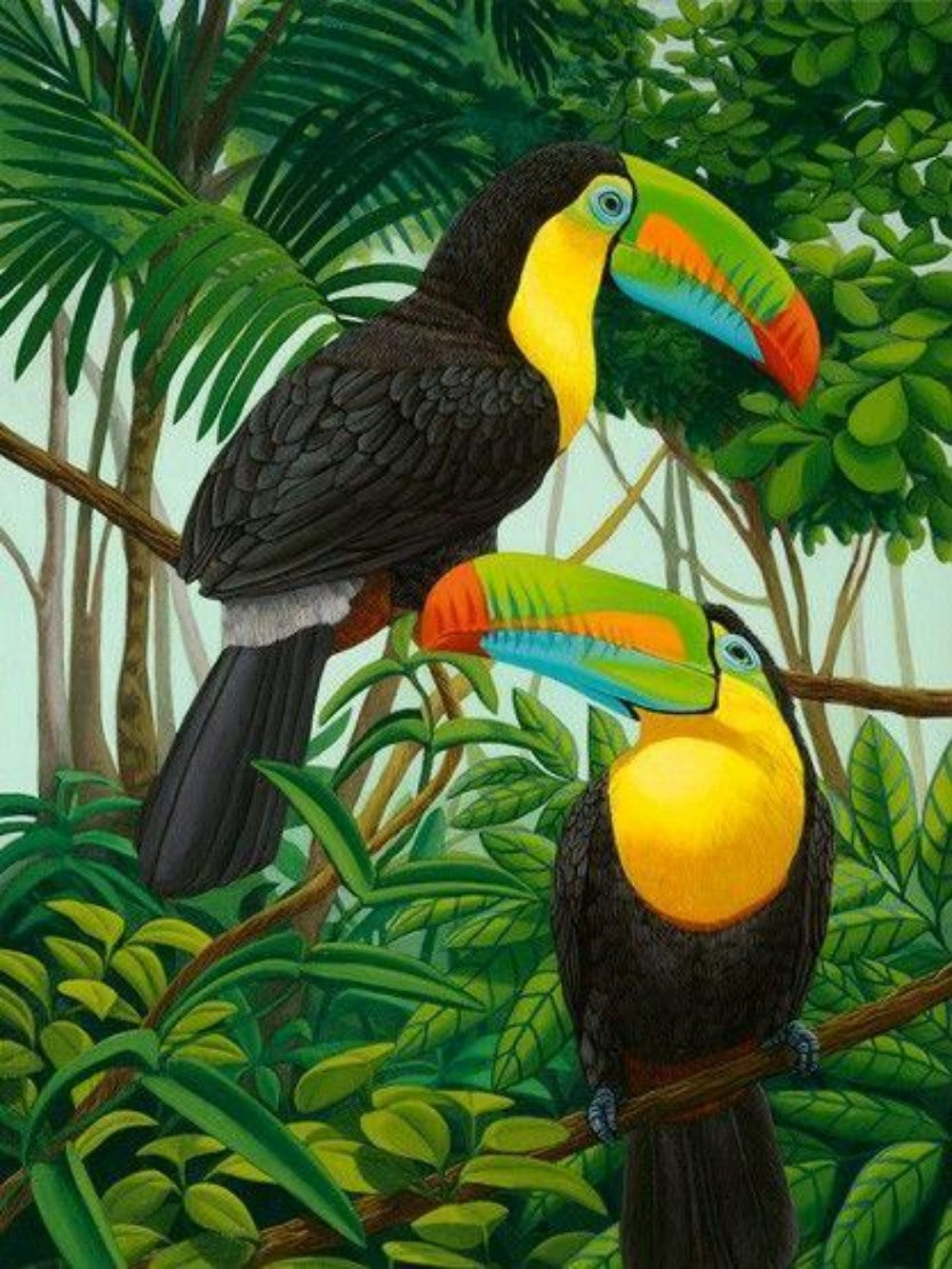 Toucan Bird | Diamond Painting