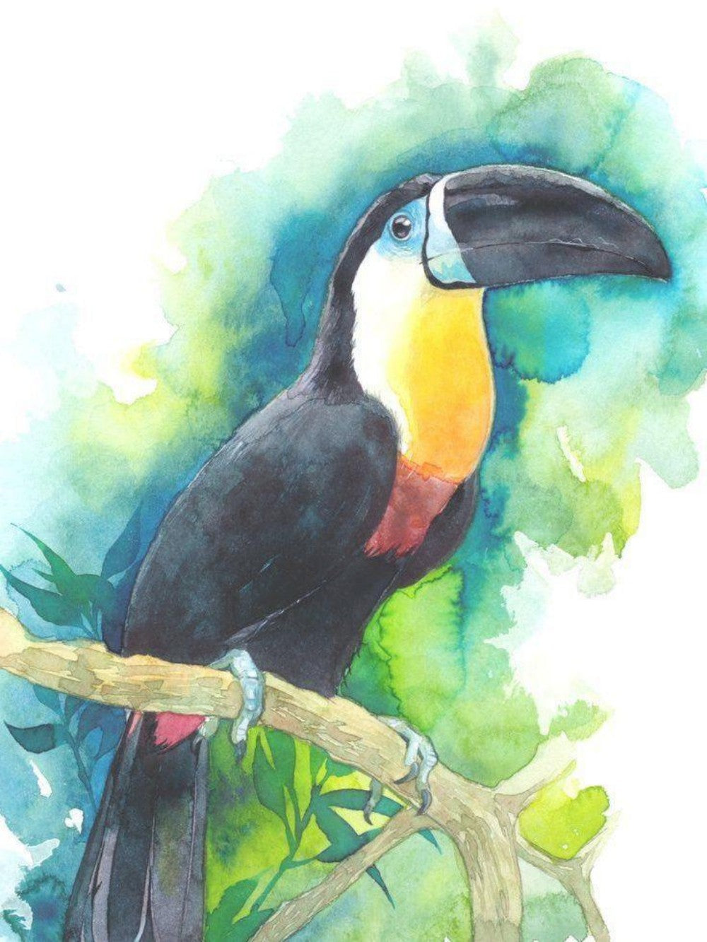 Toucan Bird | Diamond Painting