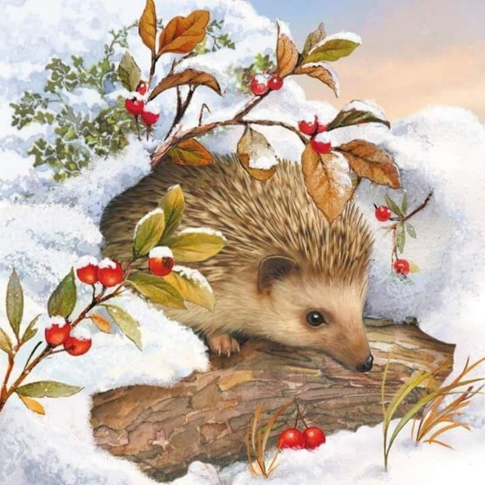 Hedgehog | Diamond Painting