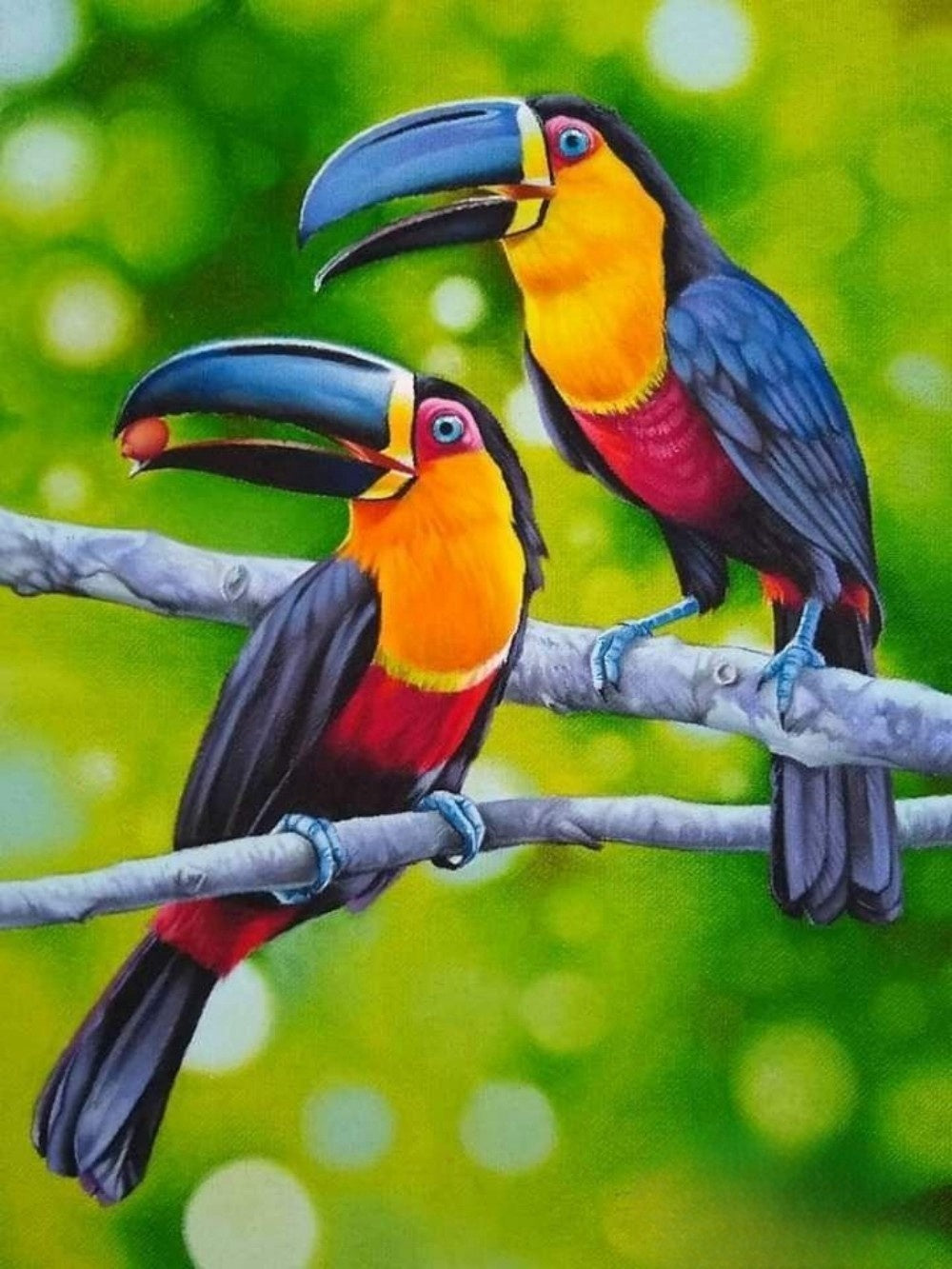 Toucan Bird | Diamond Painting