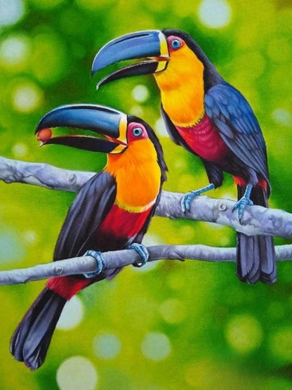 Toucan Bird | Diamond Painting
