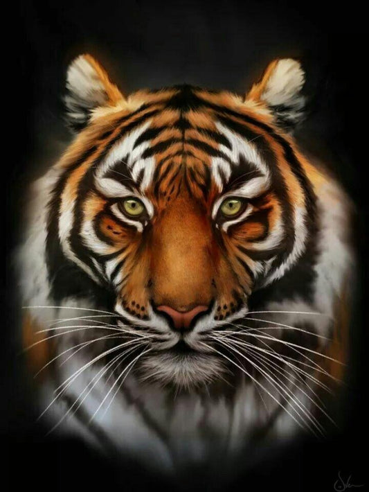 Bengal Tiger | Diamond Painting