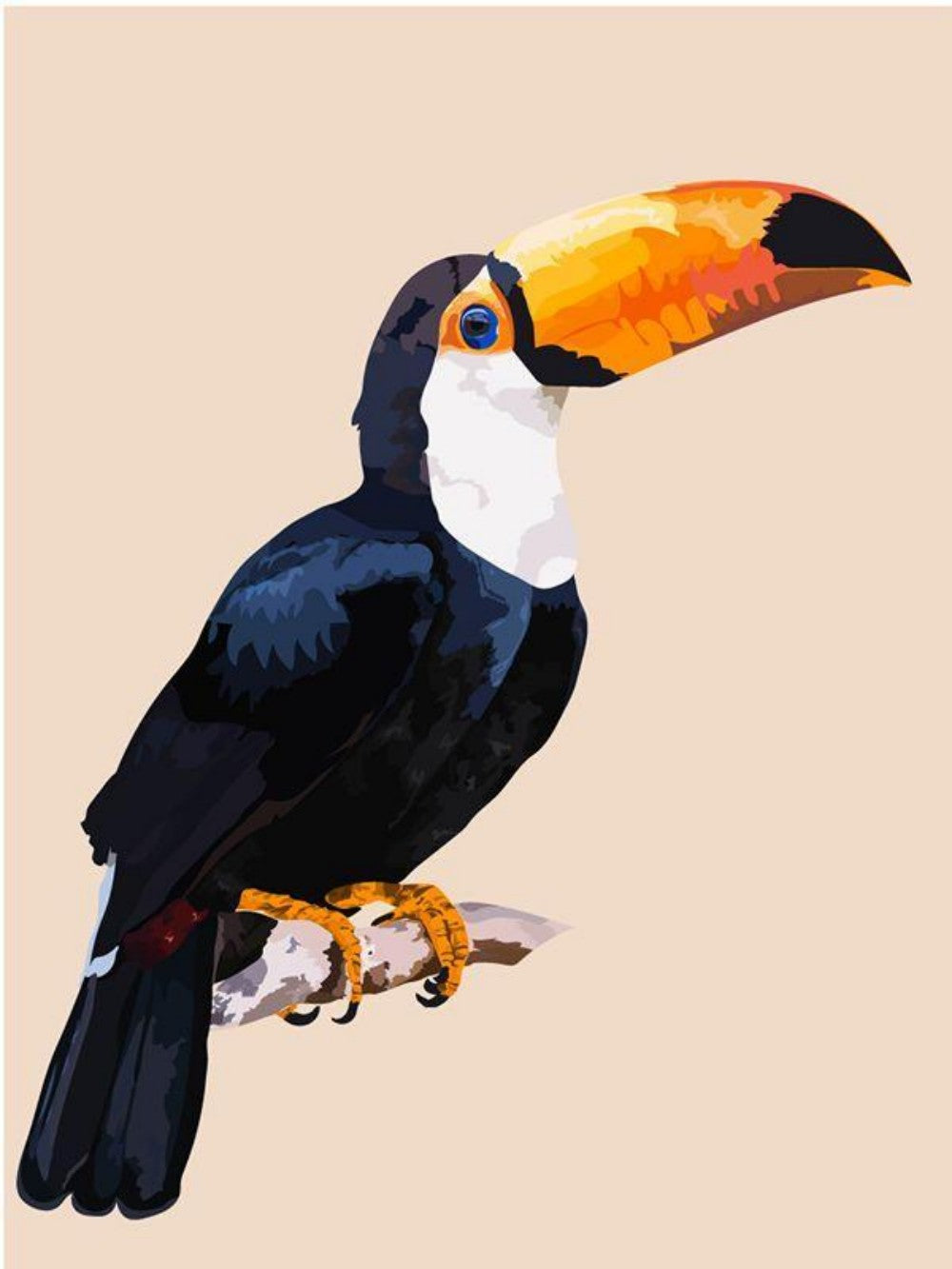 Toucan Bird | Diamond Painting