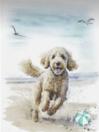 Labradoodle Dog | Diamond Painting