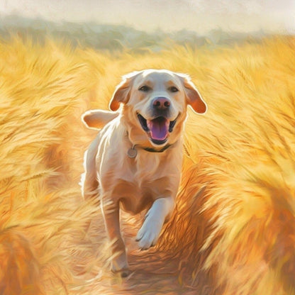 Yellow Labrador Dog | Diamond Painting