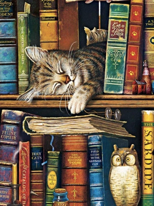 Cat Bookshelf | Diamond Painting