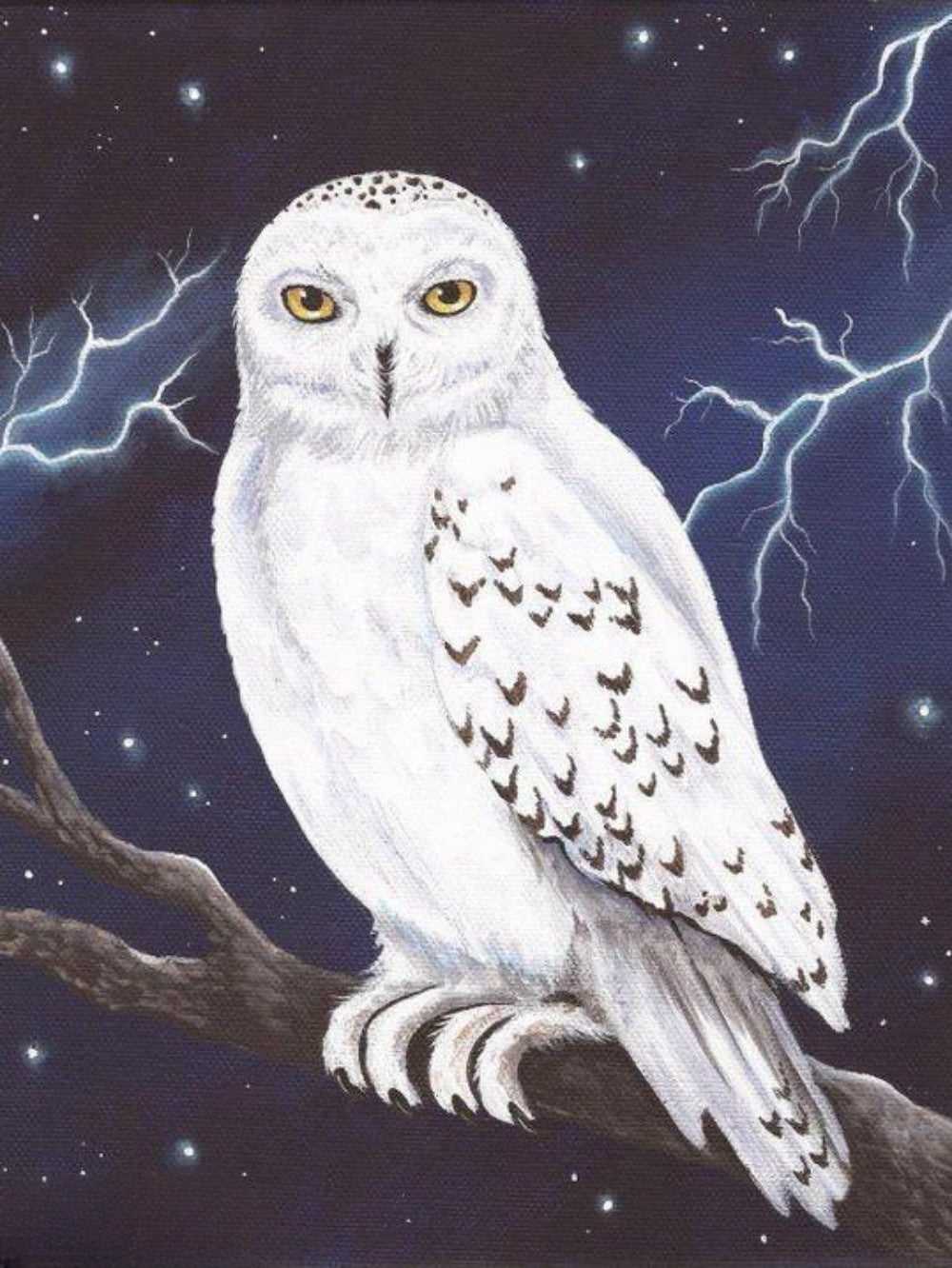 Snowy owl (White Owl) | Diamond Painting