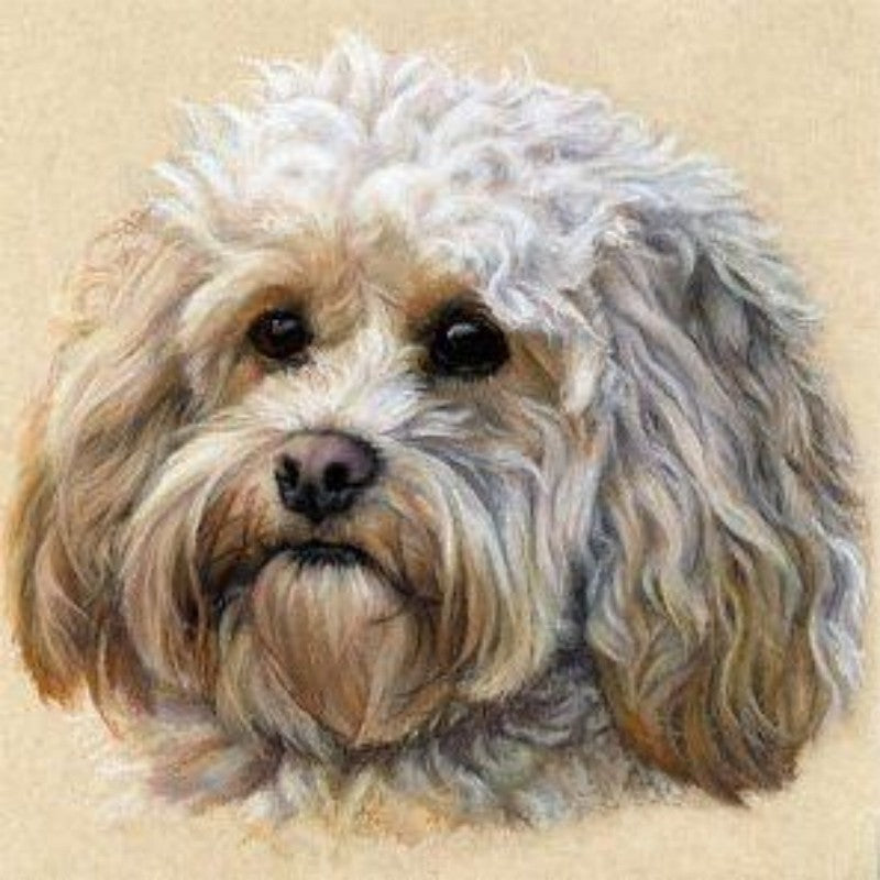 Cavapoo Dog | Diamond Painting