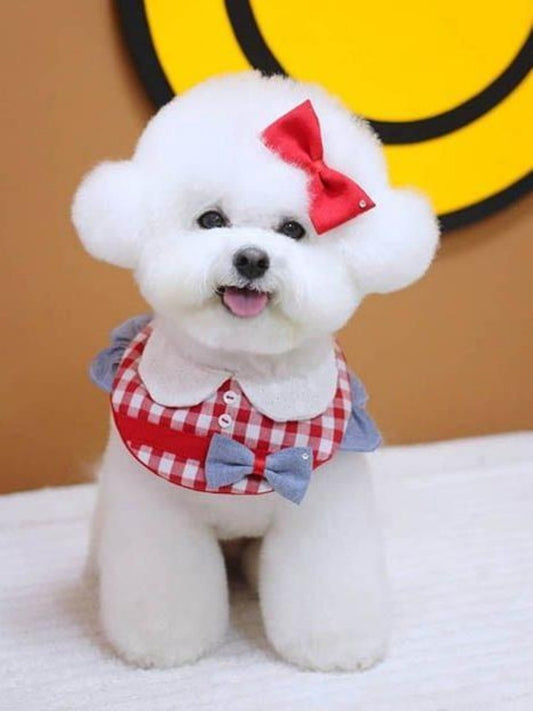 Dog Bichon Frise | Diamond Painting