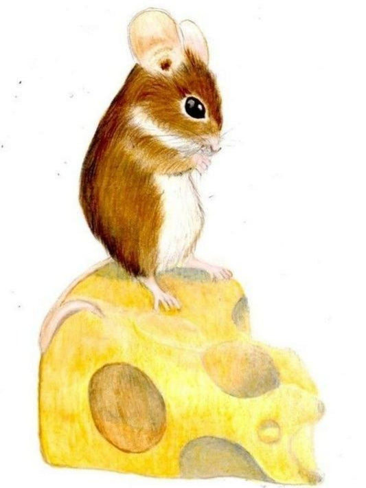 Mouse Rat | Diamond Painting