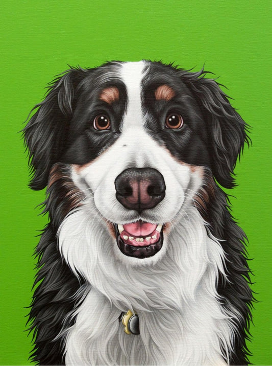 Bernese Mountain Dog | Diamond Painting