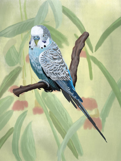 Budgie | Diamond Painting