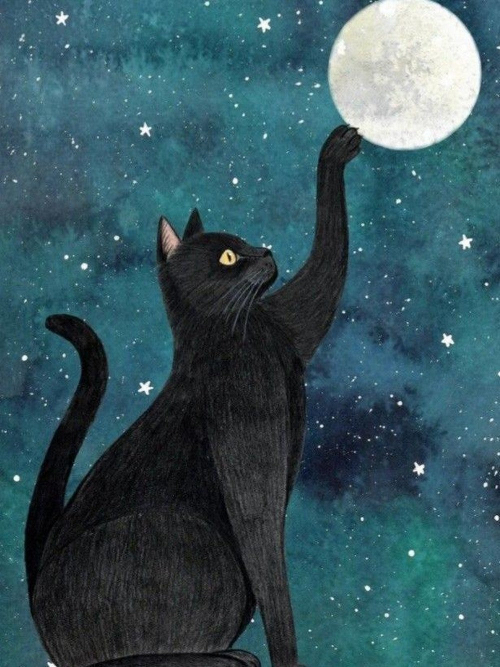 Midnight Cat | Diamond Painting