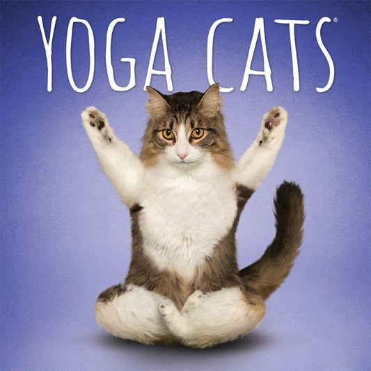 Cats Doing Yoga | Diamond Painting