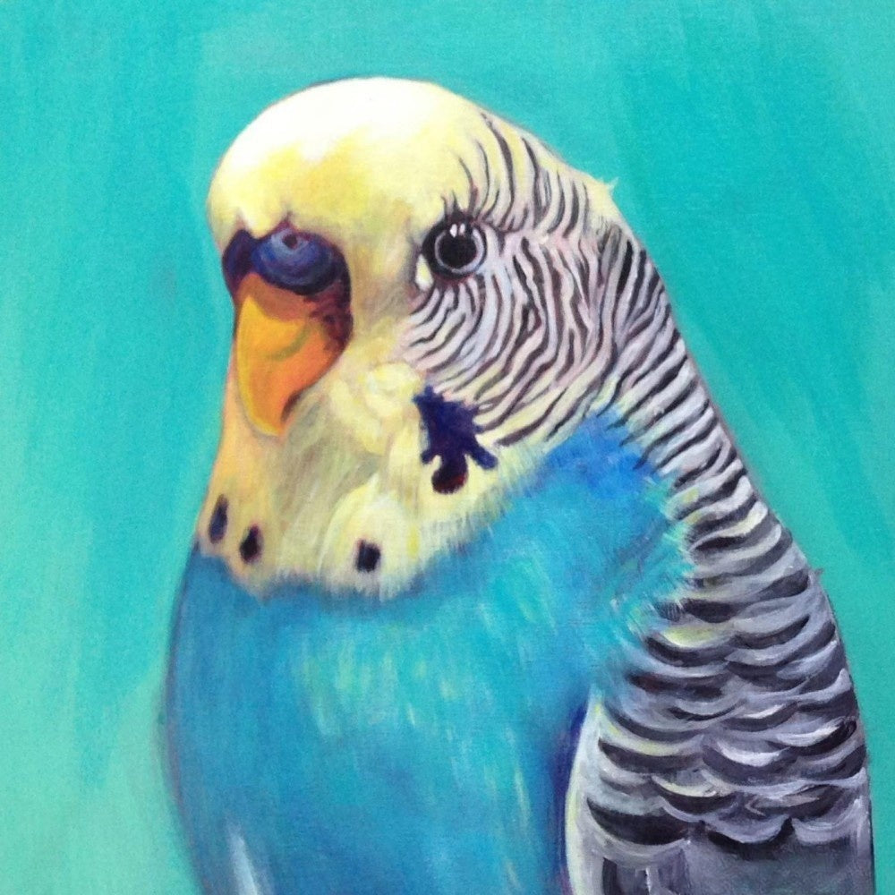 Budgie | Diamond Painting