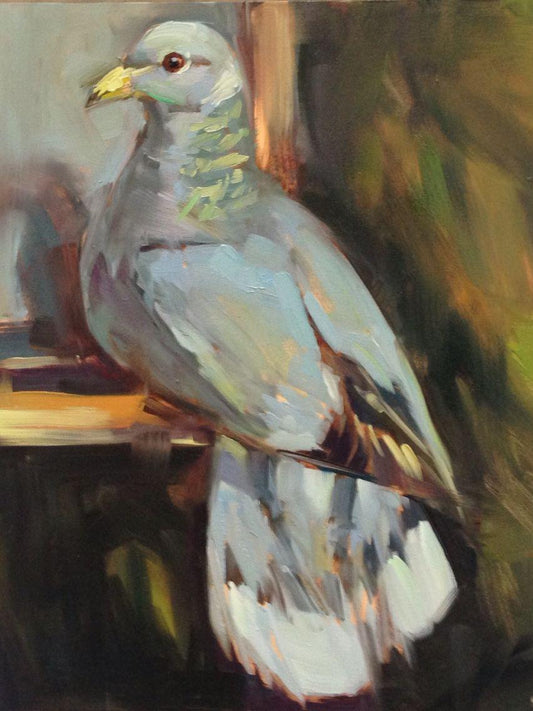 Pigeon | Diamond Painting