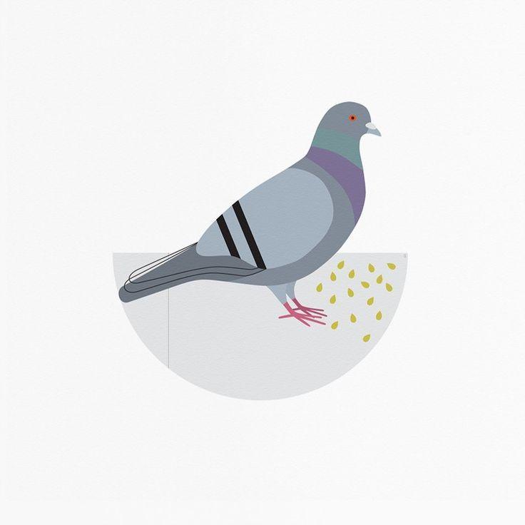 Pigeon | Diamond Painting