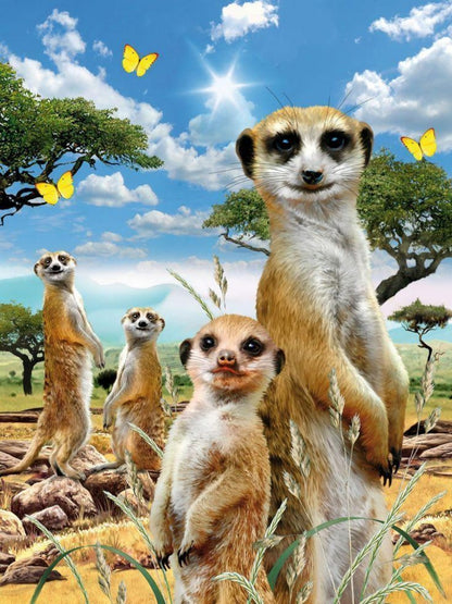 Meerkat | Diamond Painting