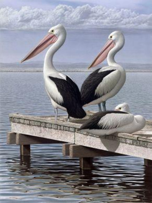 Pelican | Diamond Painting