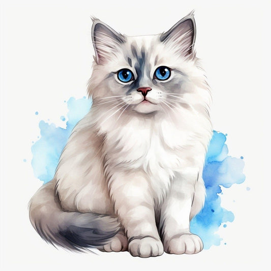 Ragdoll Cat | Diamond Painting
