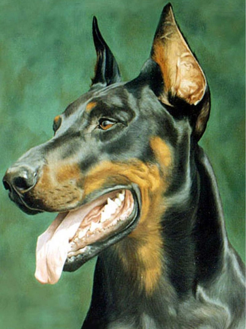 Dog Doberman | Diamond Painting