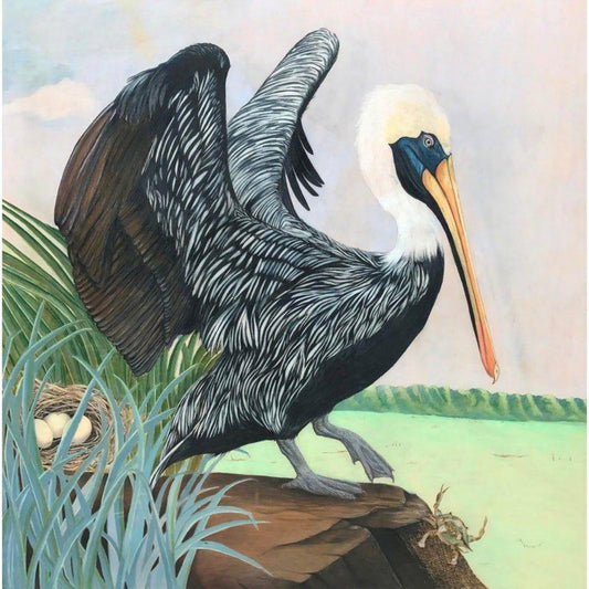 Pelican | Diamond Painting