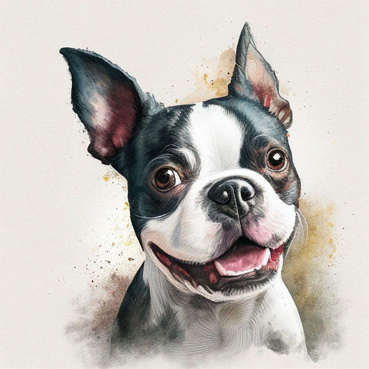Boston Terrier Dog | Diamond Painting