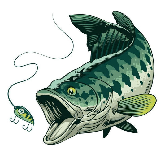 Bass Fish | Diamond Painting