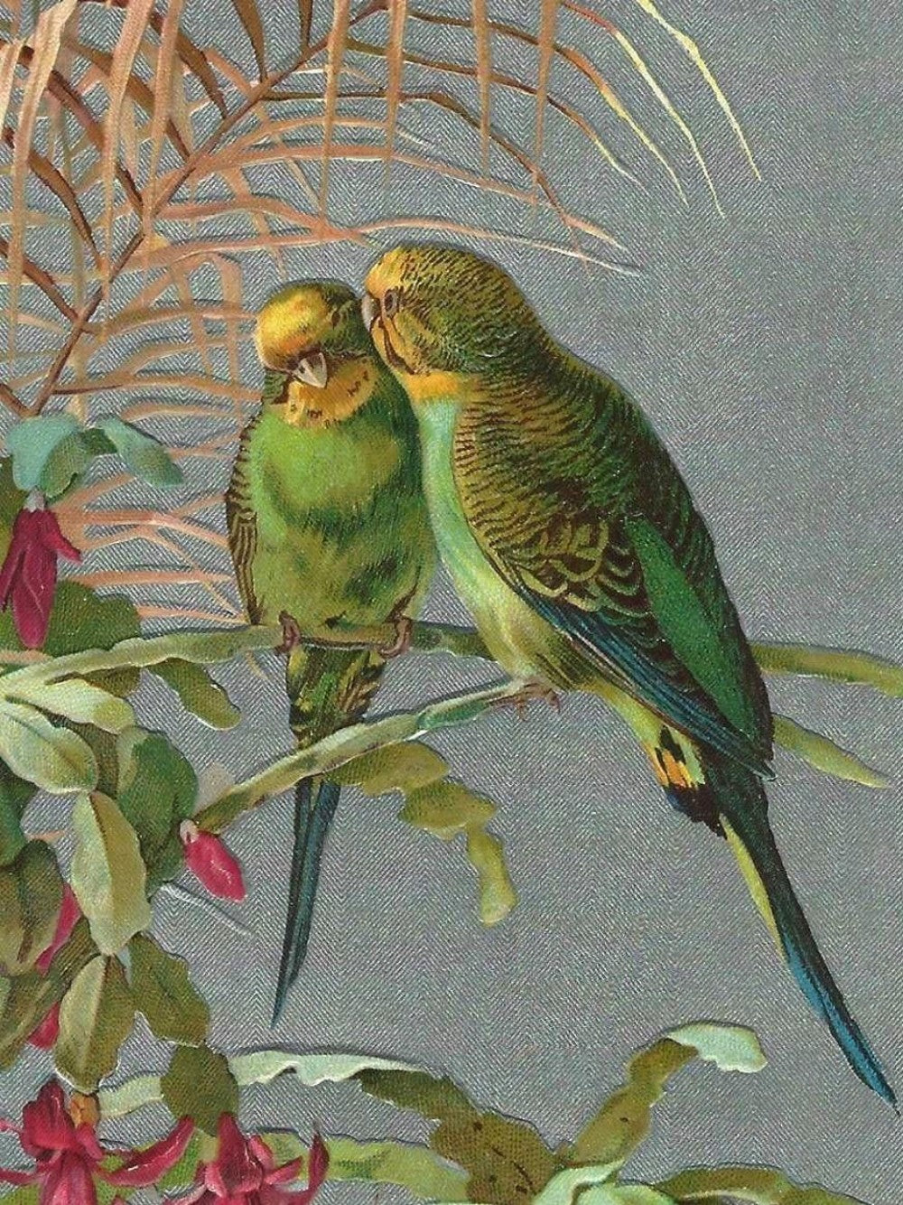 Budgie | Diamond Painting