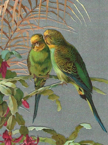 Budgie | Diamond Painting