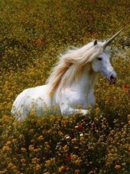 Unicorn | Diamond Painting